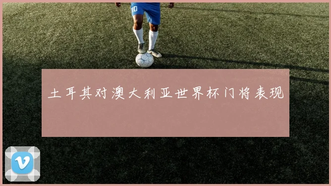 土耳其对澳大利亚世界杯门将表现