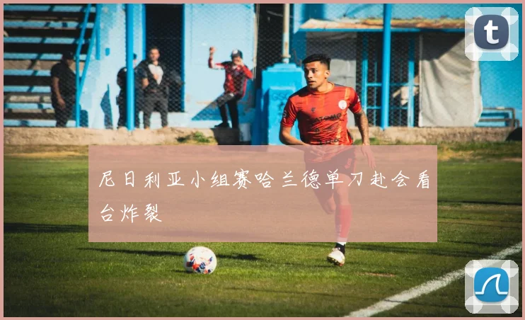 尼日利亚小组赛哈兰德单刀赴会看台炸裂