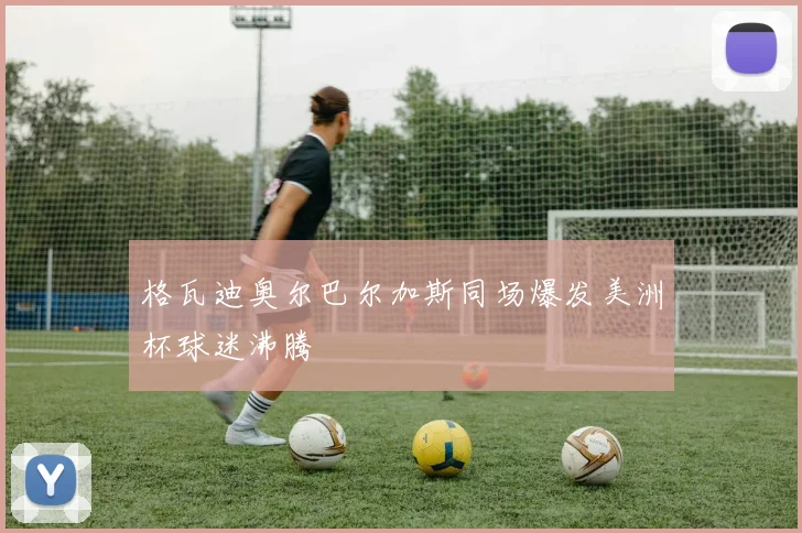 格瓦迪奥尔巴尔加斯同场爆发美洲杯球迷沸腾