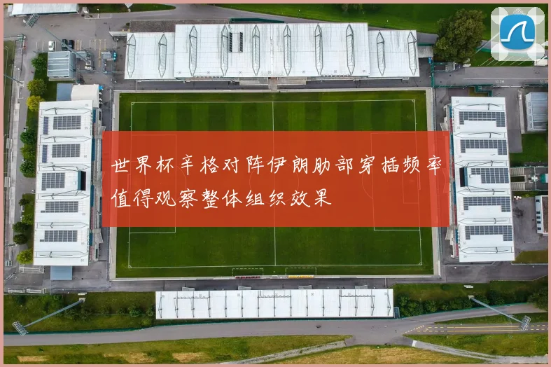 世界杯辛格对阵伊朗肋部穿插频率值得观察整体组织效果