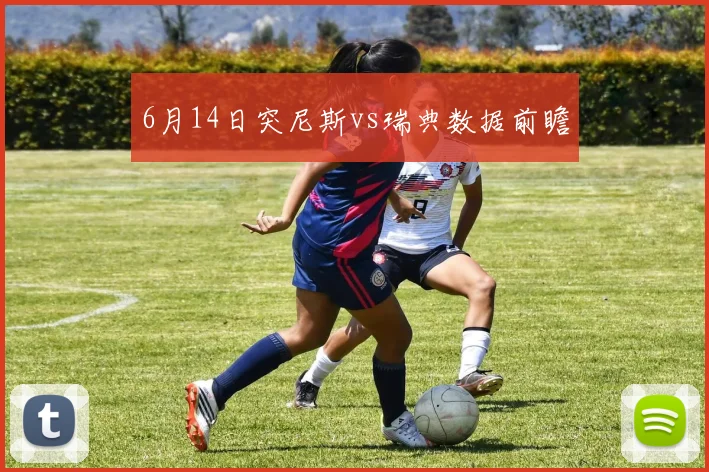 6月14日突尼斯vs瑞典数据前瞻