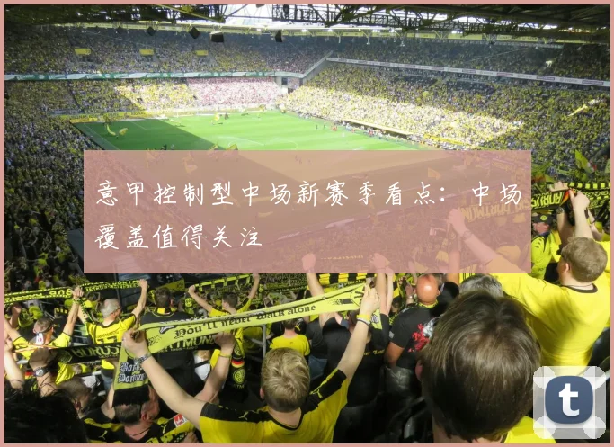意甲控制型中场新赛季看点：中场覆盖值得关注