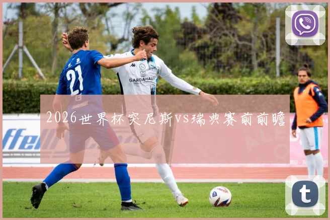 2026世界杯突尼斯vs瑞典赛前前瞻