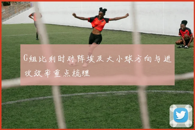G组比利时对阵埃及大小球方向与进攻效率重点梳理
