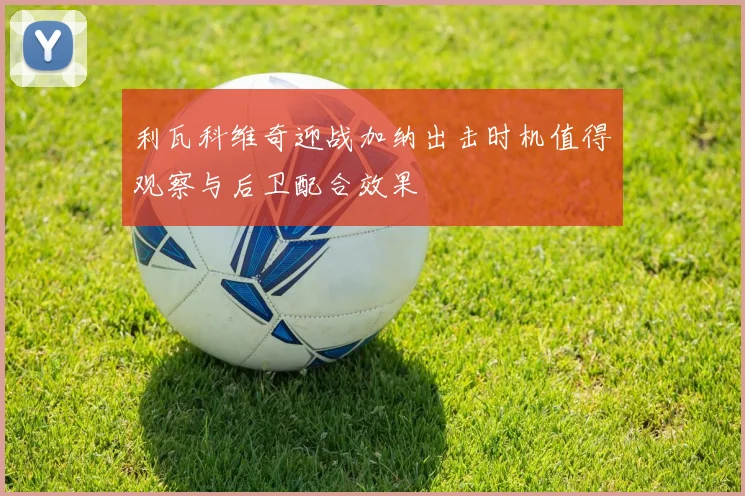 利瓦科维奇迎战加纳出击时机值得观察与后卫配合效果