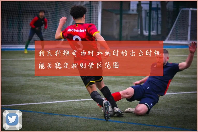 利瓦科维奇面对加纳时的出击时机能否稳定控制禁区范围