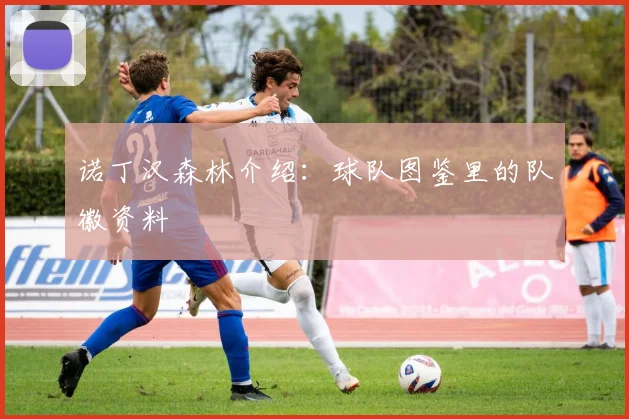 诺丁汉森林介绍：球队图鉴里的队徽资料