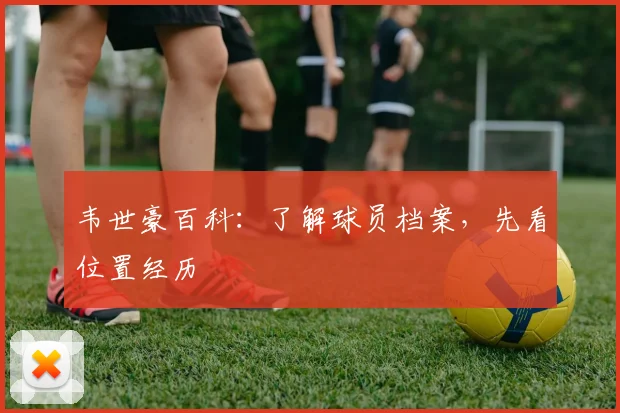 韦世豪百科:了解球员档案,先看位置经历