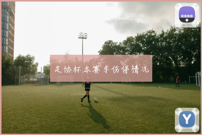 足协杯本赛季伤停情况