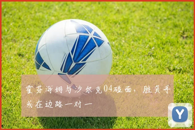 霍芬海姆与沙尔克04碰面，胜负手或在边路一对一