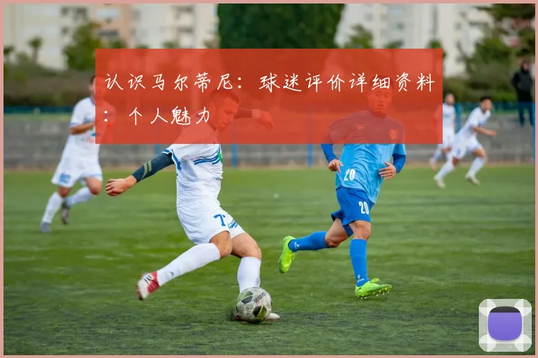认识马尔蒂尼：球迷评价详细资料：个人魅力