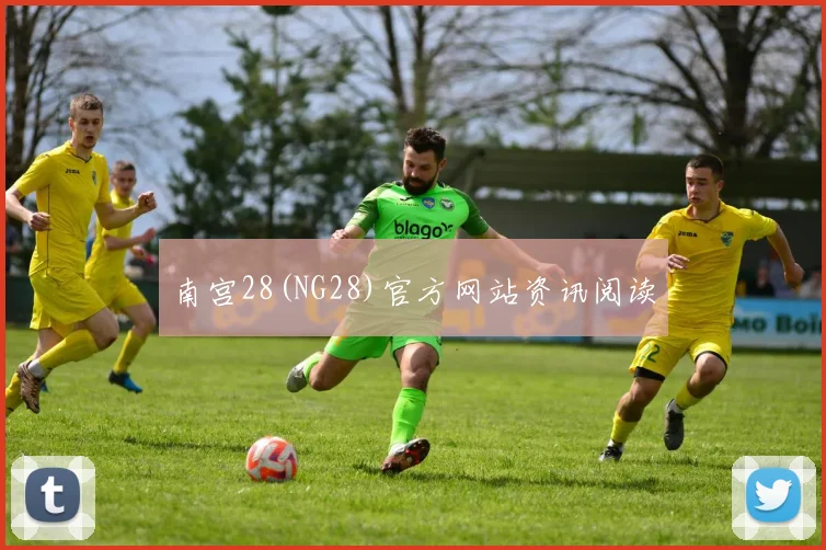 南宫28(NG28)官方网站资讯阅读