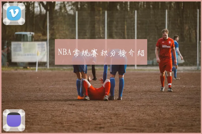 NBA常规赛积分榜介绍