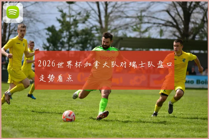 2026世界杯加拿大队对瑞士队盘口走势看点