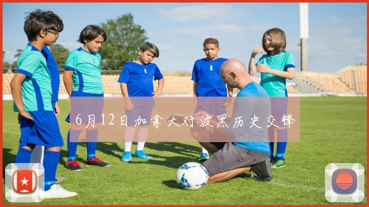 6月12日加拿大对波黑历史交锋