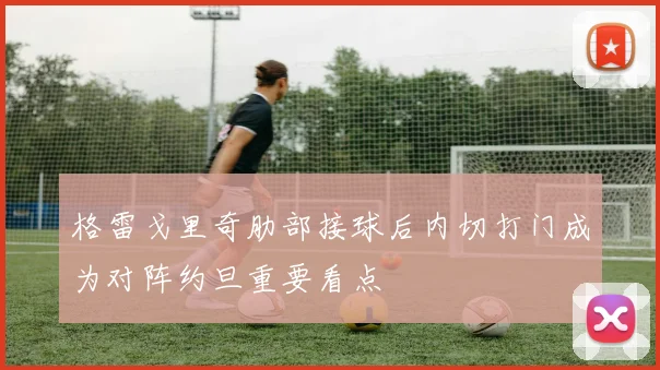 格雷戈里奇肋部接球后内切打门成为对阵约旦重要看点