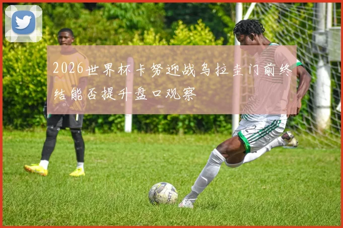 2026世界杯卡努迎战乌拉圭门前终结能否提升盘口观察