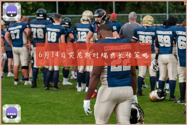 6月14日突尼斯对瑞典长传策略