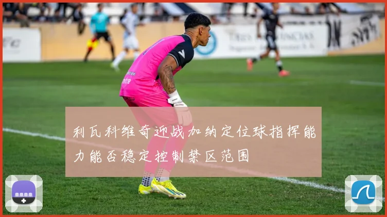 利瓦科维奇迎战加纳定位球指挥能力能否稳定控制禁区范围