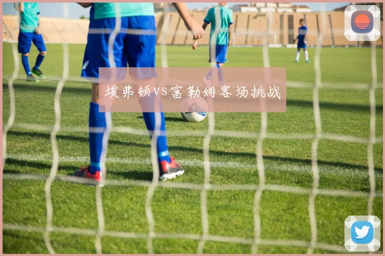 埃弗顿vs富勒姆客场挑战
