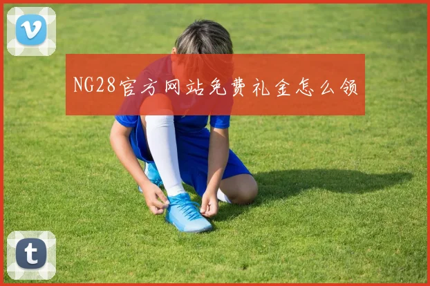 NG28官方网站免费礼金怎么领