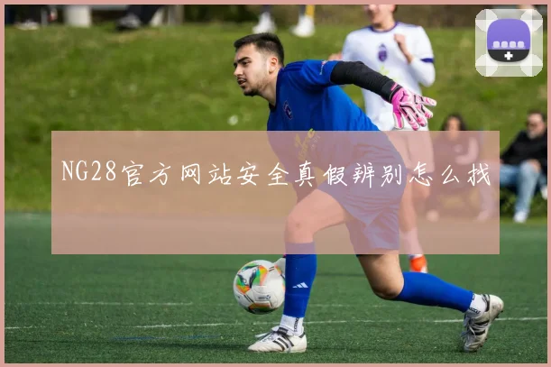 NG28官方网站安全真假辨别怎么找