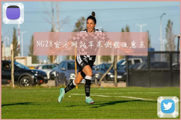 NG28官方网站苹果侧载注意点
