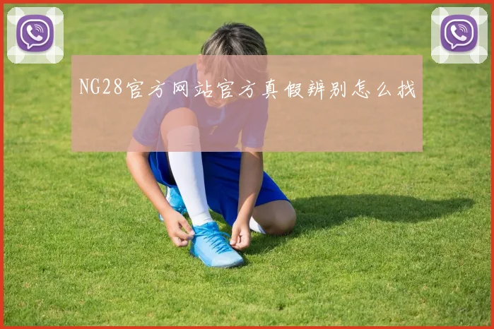 NG28官方网站官方真假辨别怎么找